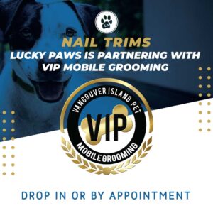 VIP Mobile Grooming